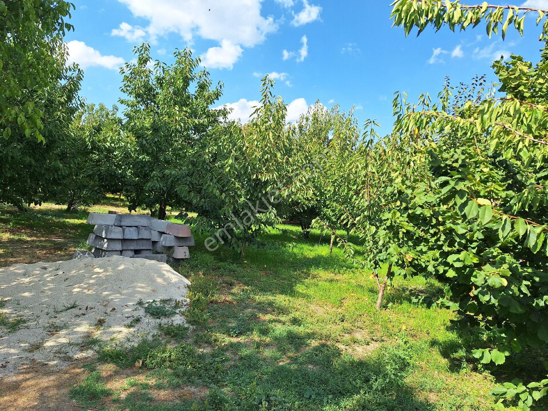 Dagli Emlaktan Atakent Mahallesinde - Görsel 5