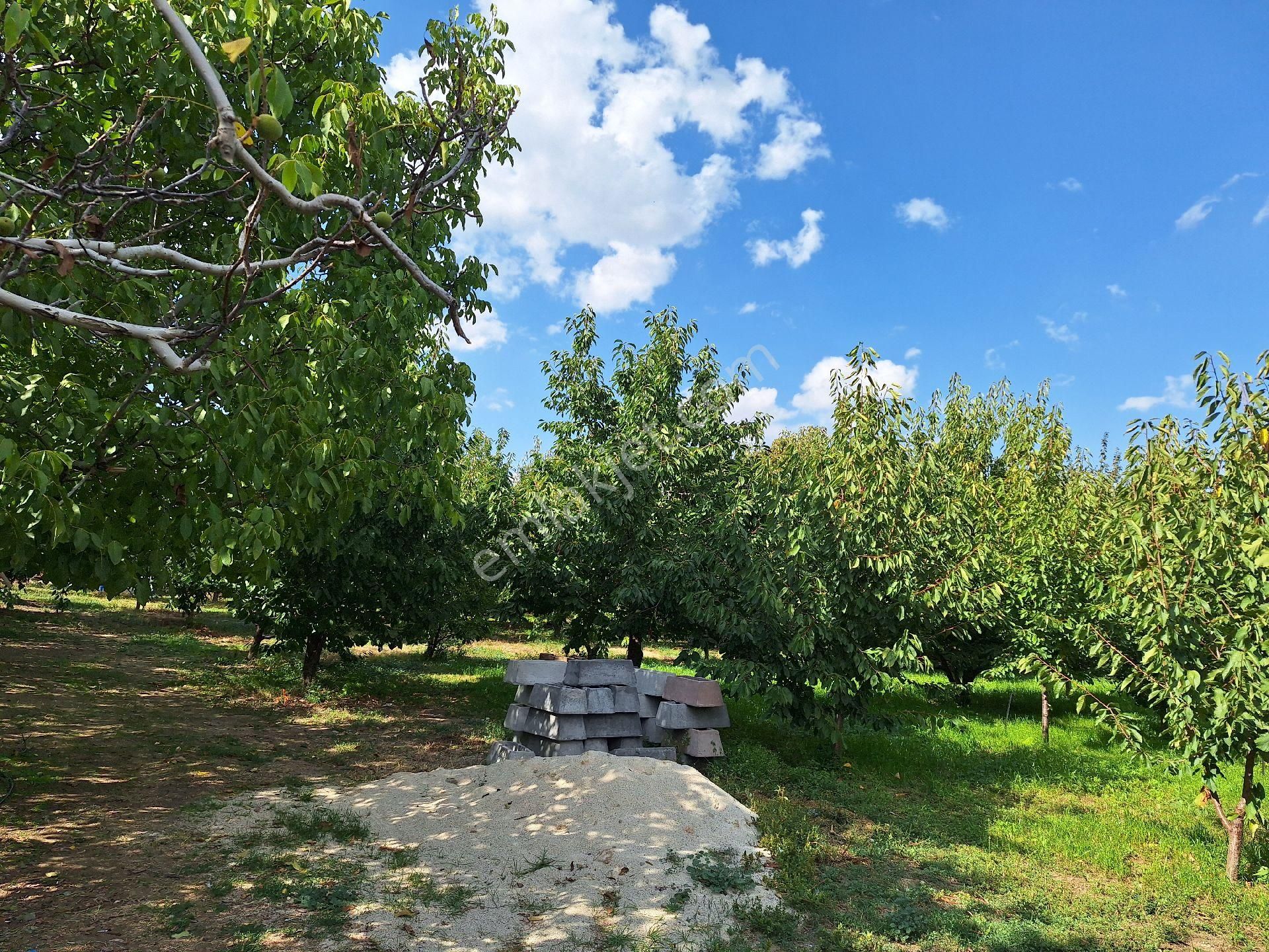 Dagli Emlaktan Atakent Mahallesinde - Görsel 14