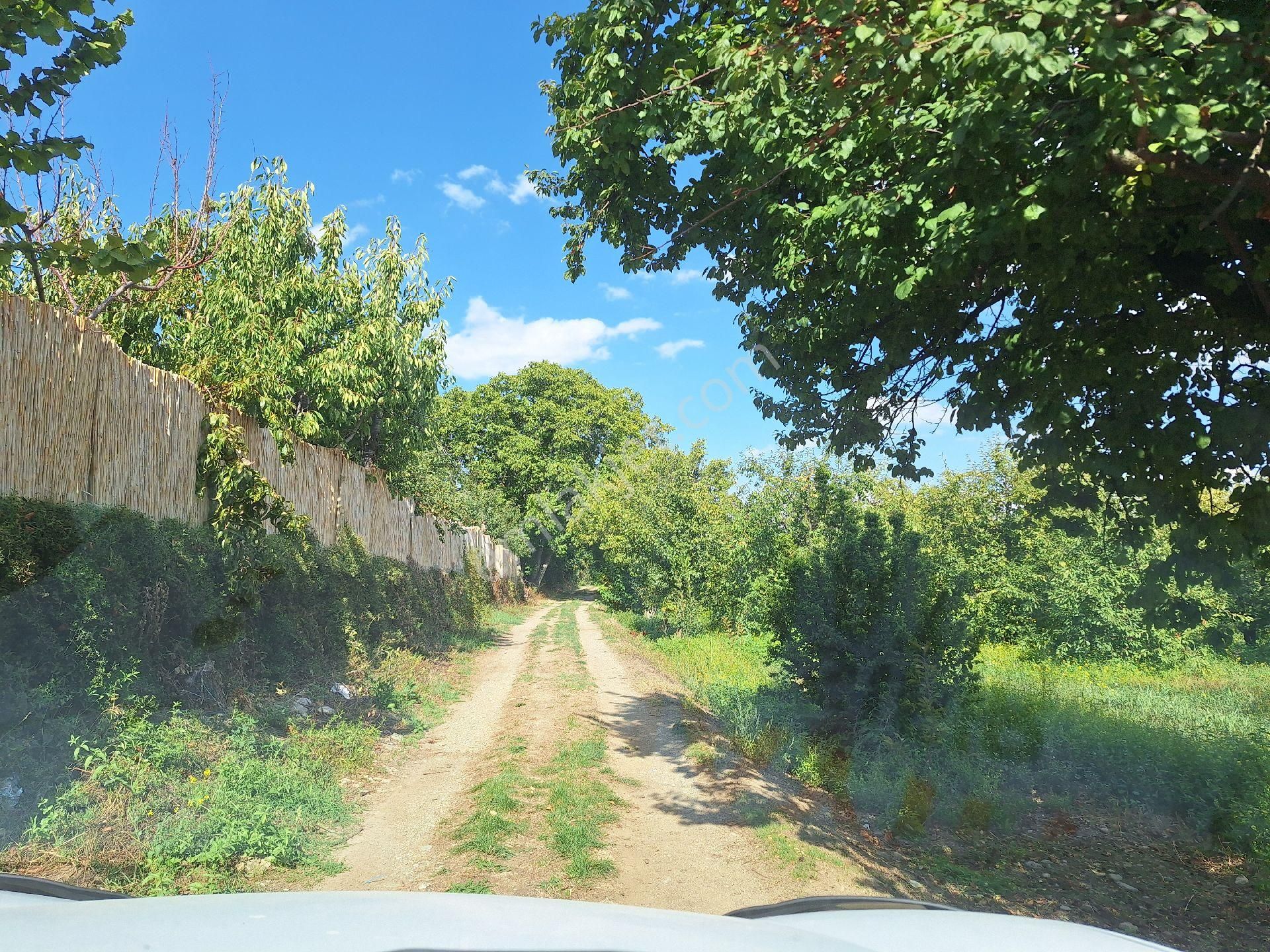 Dagli Emlaktan Atakent Mahallesinde - Görsel 2