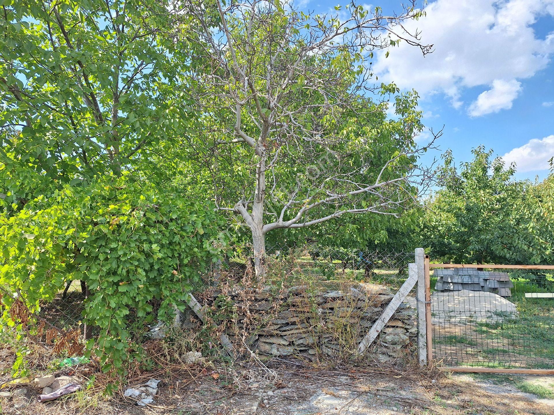 Dagli Emlaktan Atakent Mahallesinde - Görsel 7