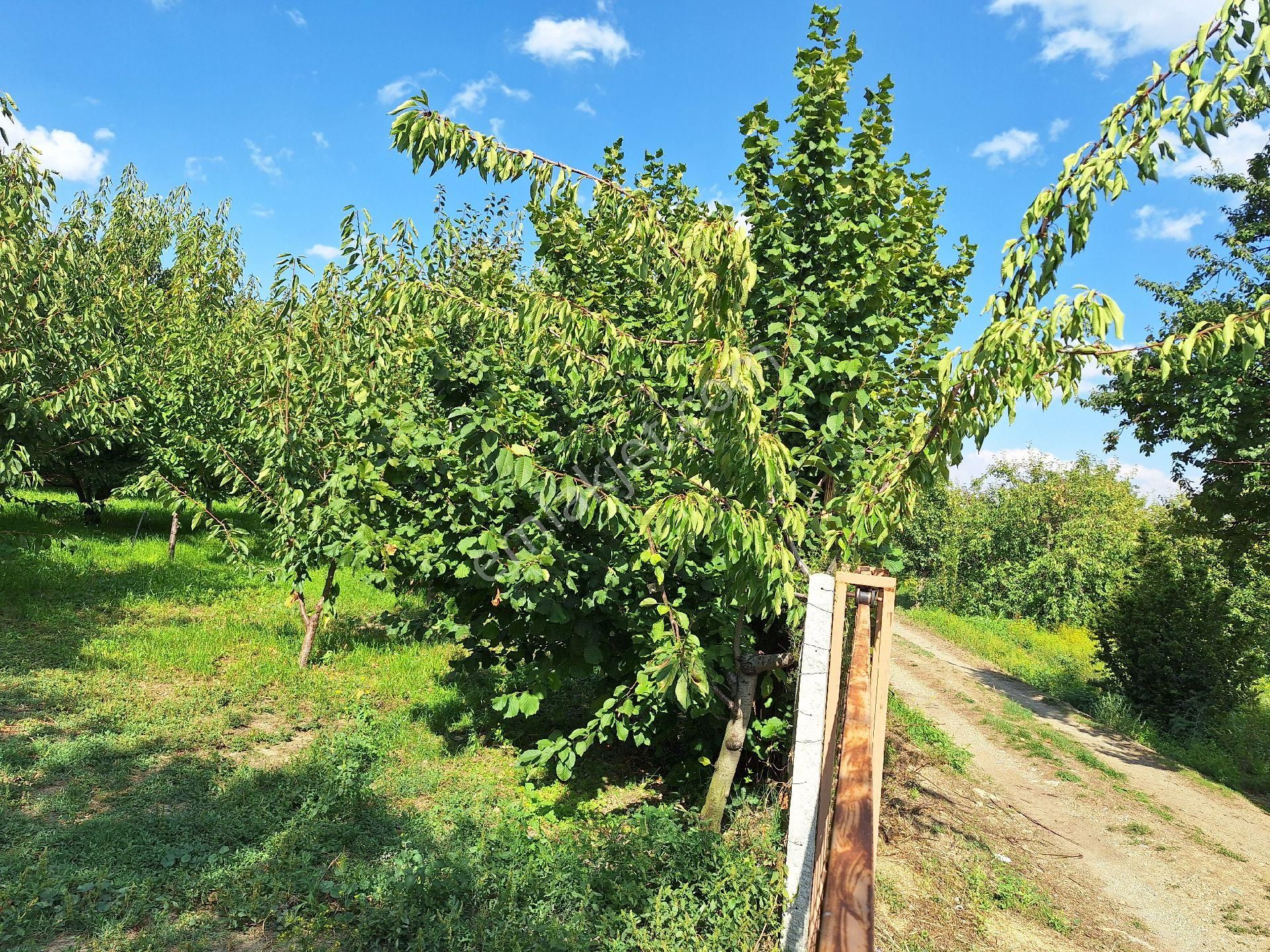 Dagli Emlaktan Atakent Mahallesinde - Görsel 12