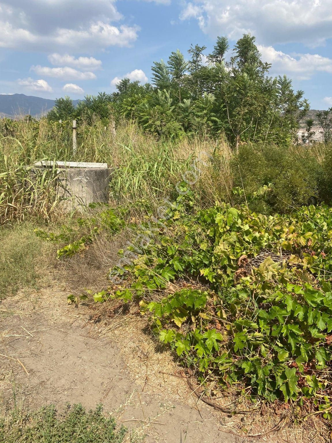 Menemen Belen Satılık Tarla Belen’de Satılık Arazi