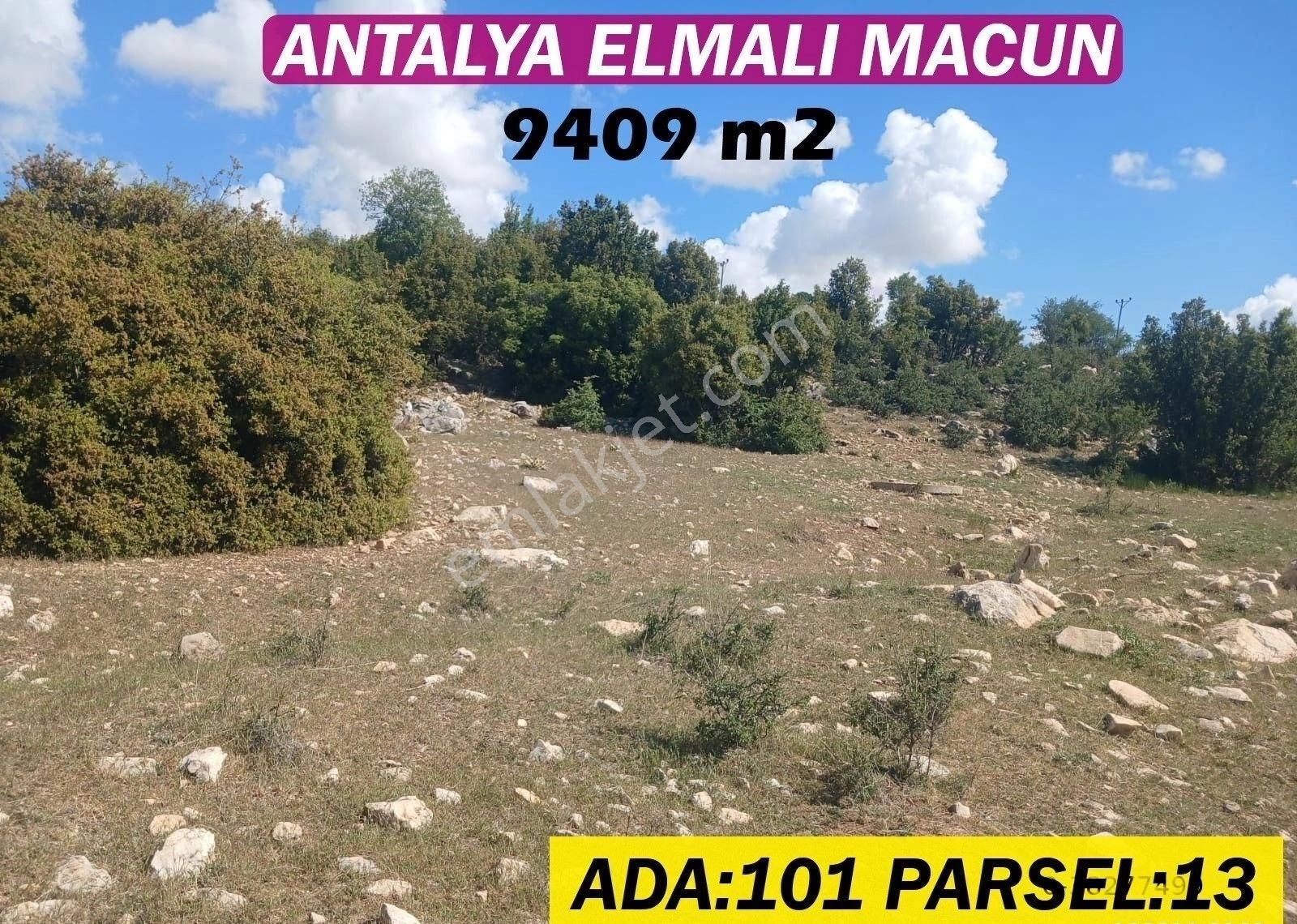 Elmalı Macun Satılık Tarla ANTALYA ELMALI MACUN 9409 M2 TEK TAPU SATILIK TARLA