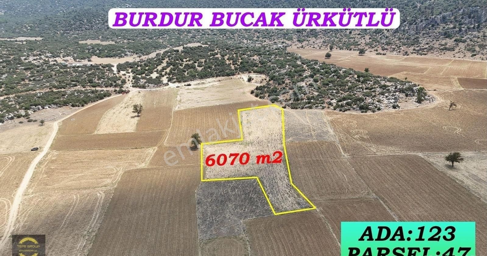 Bucak Ürkütlü Köyü (Pazar) Satılık Tarla BURDUR BUCAK ÜRKÜTLÜDE 6070 M2 TEK TAPU SATILIK TARLA