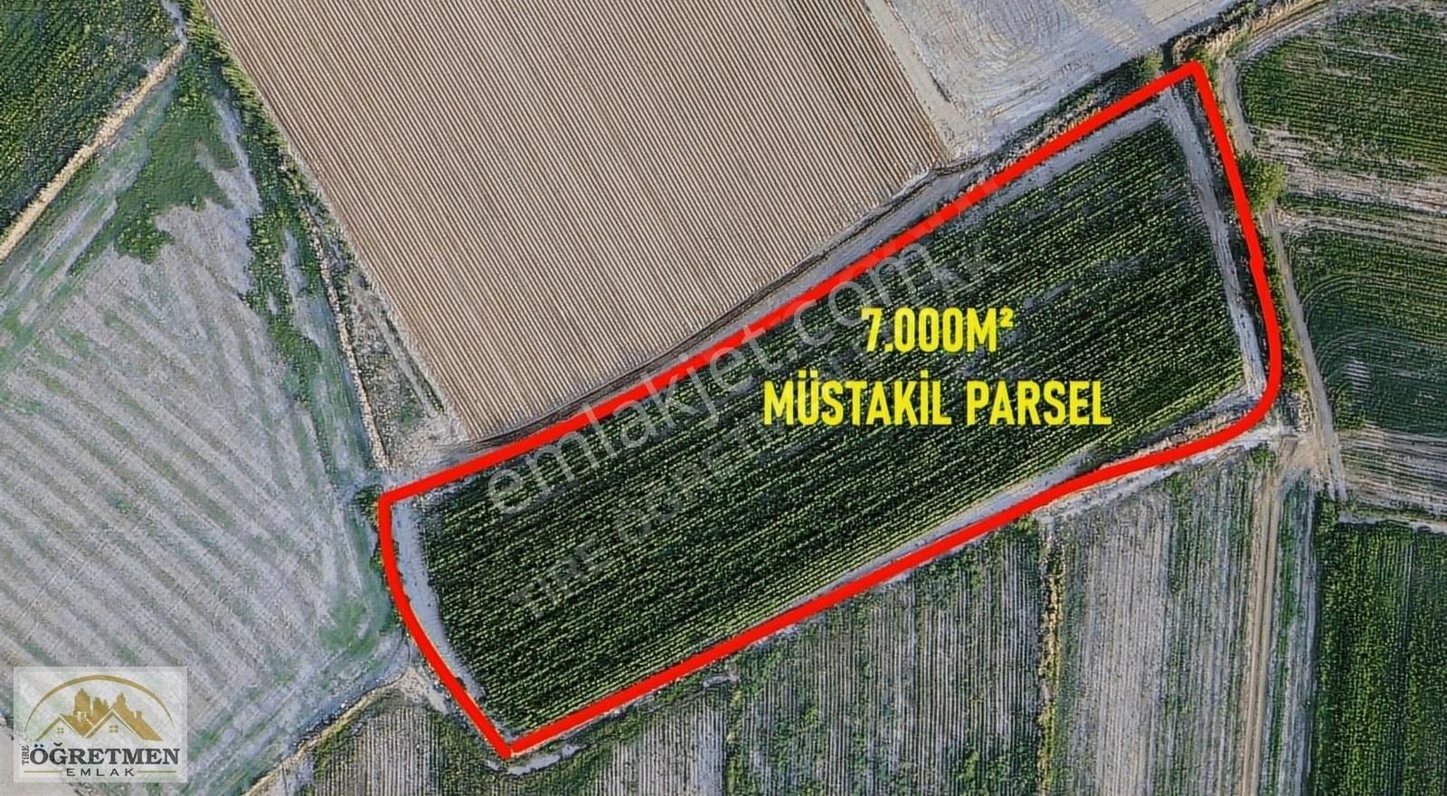 Tire Gökçen Satılık Tarla ÖĞRETMEN EMLAKTAN,GÖKÇEN'DE SATILIK 7.000M²VERİMLİ TARLA FIRSATI