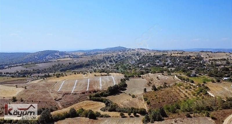 Kofçaz Kocayazı Köyü Satılık Konut İmarlı Kırklareli Kofçaz Köyünde 3794m.bölünebilir Arsa