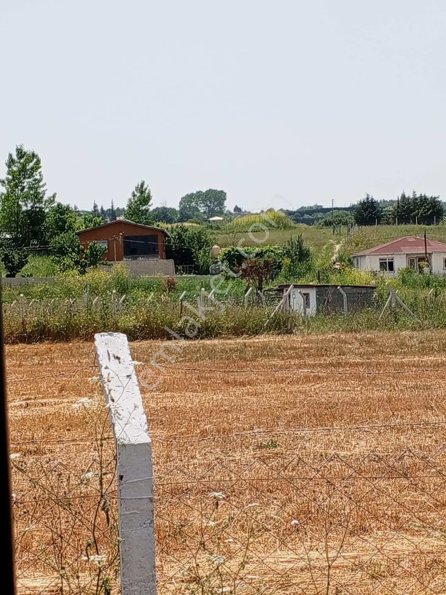 Çatalca Kabakça Mahallesinde Acilen Satılık Hisseli Arsa 977 - Görsel 3