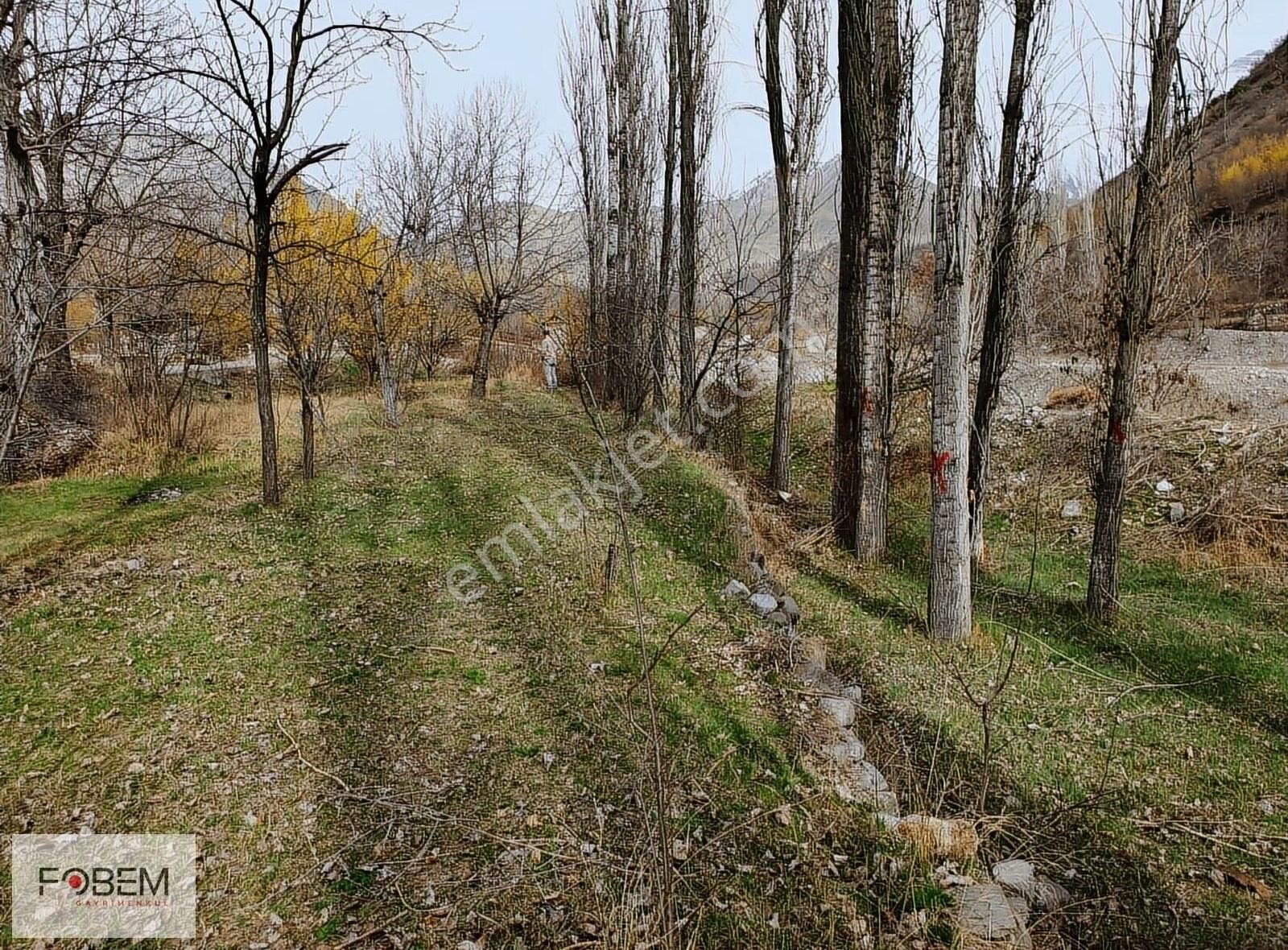 Uzundere Kirazlı Satılık Bağ & Bahçe FOBEM GM'DEN TORTUM KİRAZLI'DA YOL KENARI SATILIK BAHÇE