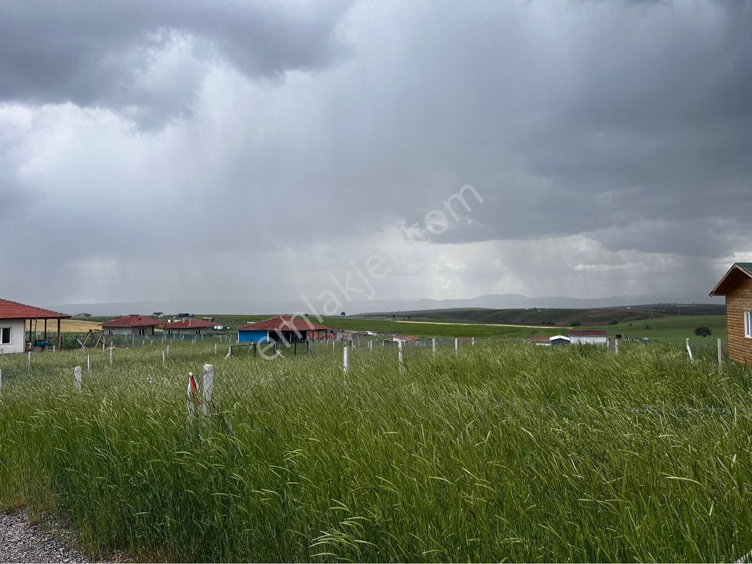 Altındağ Aydıncık Satılık Bağ & Bahçe AYDINCIK SINIRI KADOSTRO YOL KENARI FIRSAT 105BİN BAHÇE