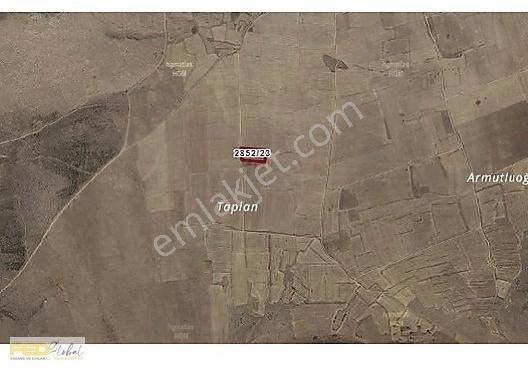 Develi Ayşepınar Satılık Tarla FED GLOBAL/DEVELİ AYŞEPINAR KÖYÜ SATILIK 4583m2 TARLA