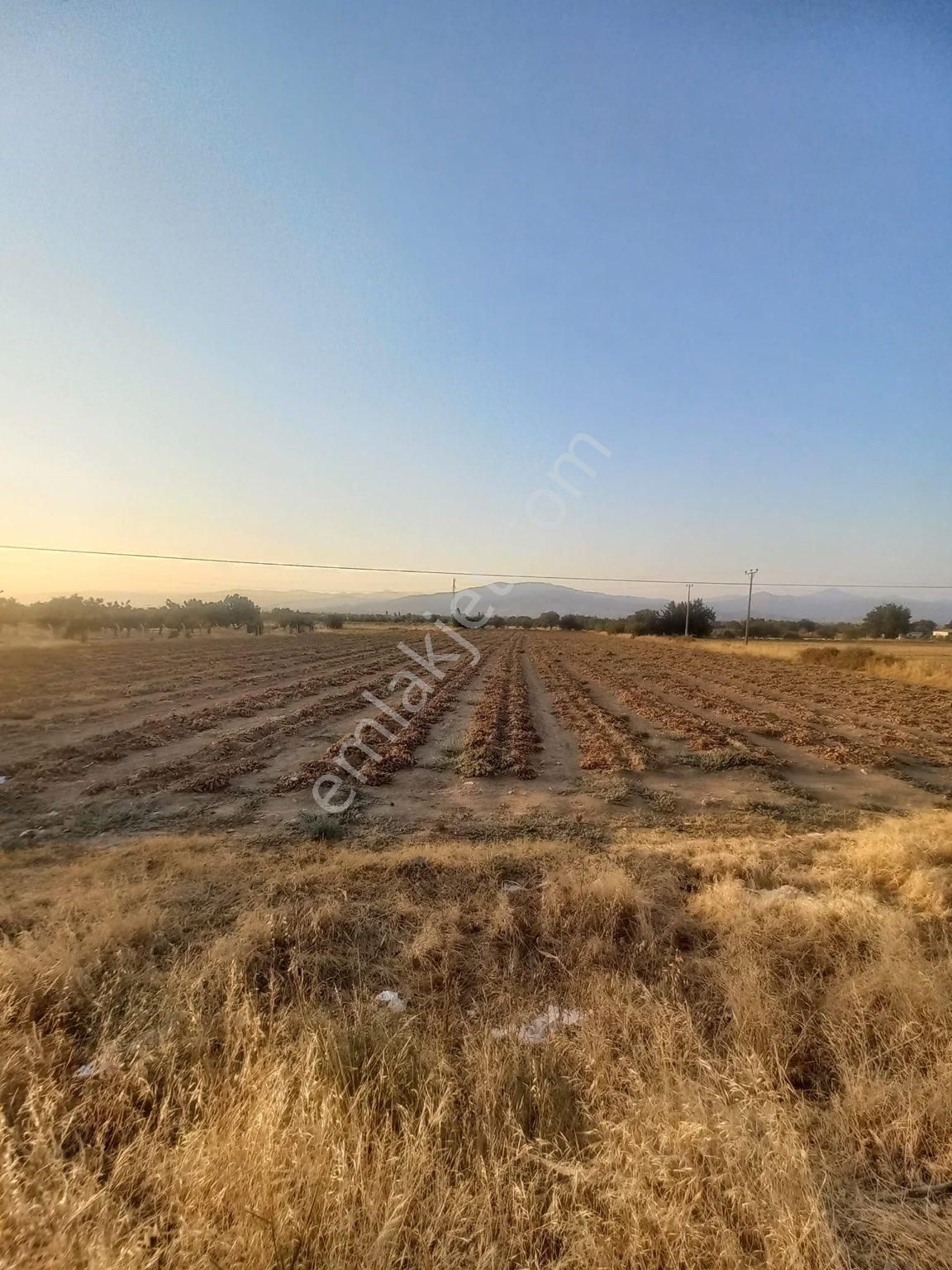 Tire Kahrat Satılık Tarla  TİRE ATILIM EMLAK TAN ÖDEMİŞ KAHRAT ANA YOL ÜZERİN DE SATILIK TARLA