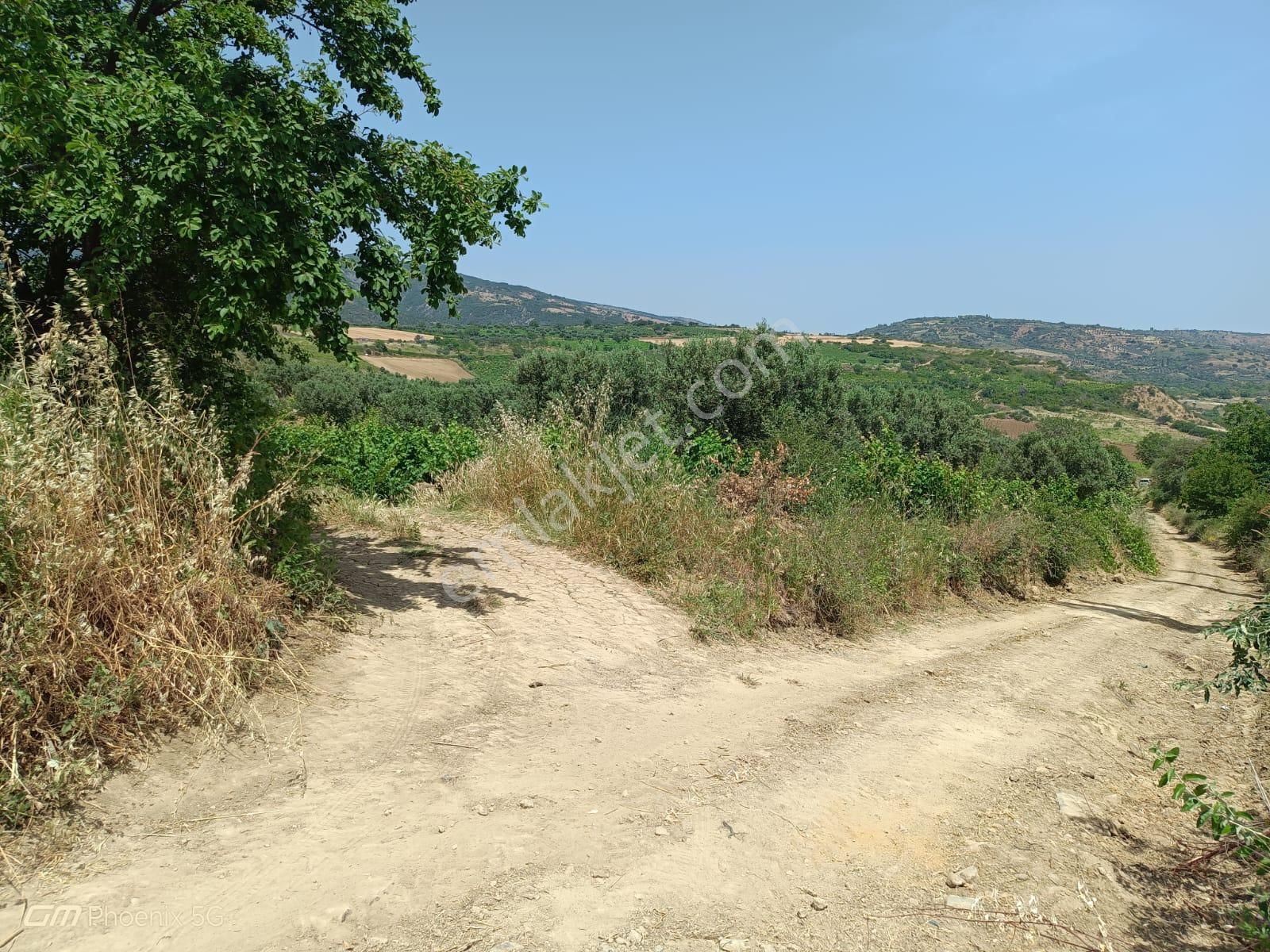 Şarköy Mursallı Satılık Bağ & Bahçe  Tekirdağ Şarköy Mursallı Mahallesinde Satılık Tarla