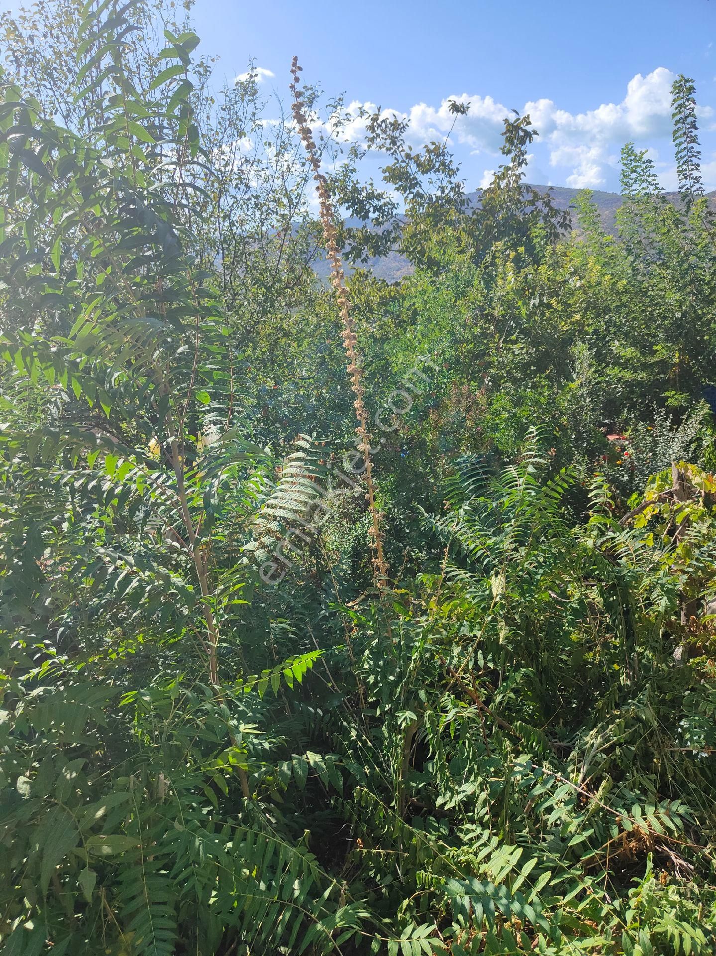 Bayındır Gayrimenkul - Bayındır Yusuflu Köyünden Satılık Köy Evi - Görsel 4