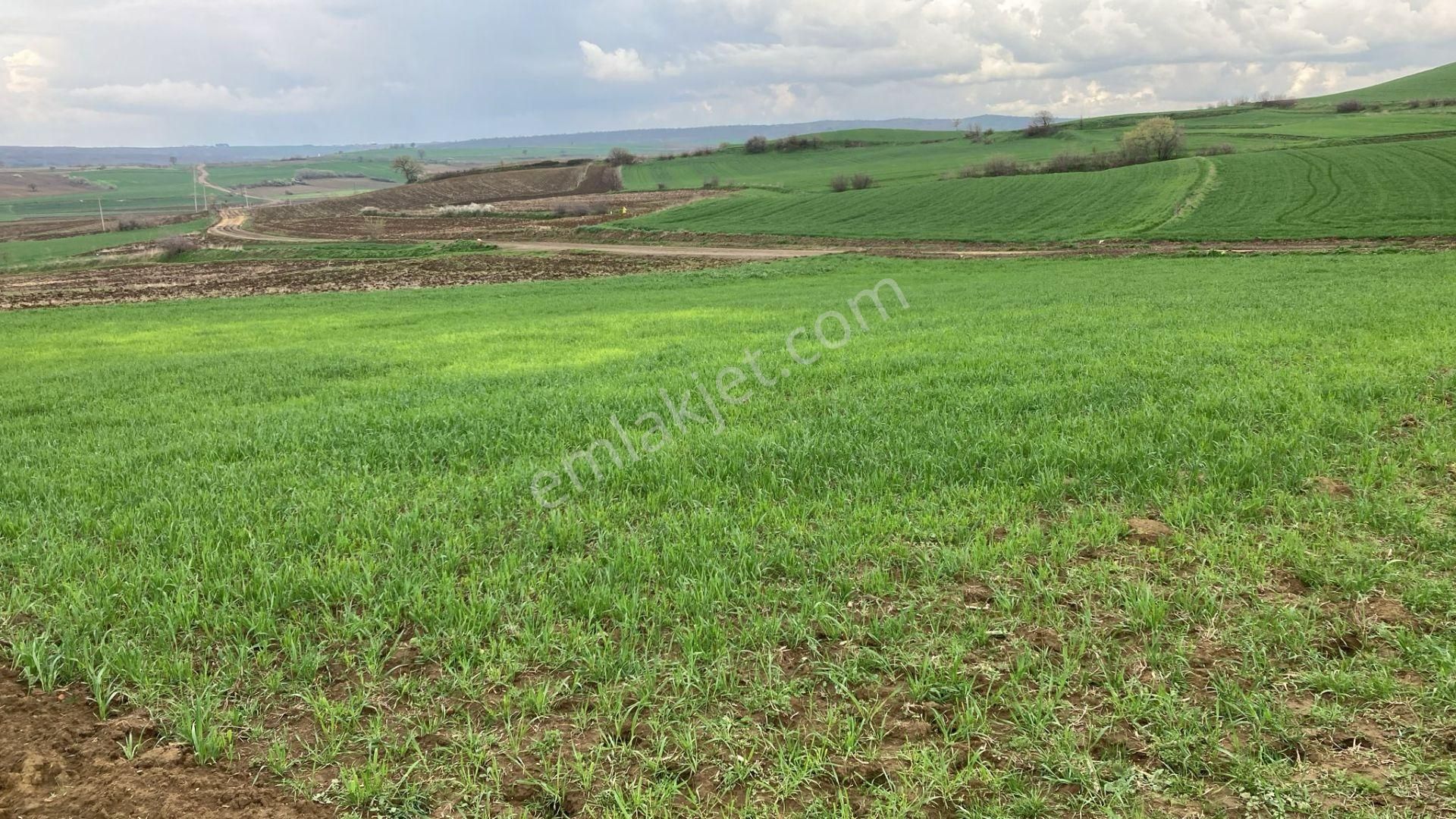 Sahibinden Keşan Küçükdoğanca Köyünde Arsa Ve Çiftlik Arazisi Yatırımlık