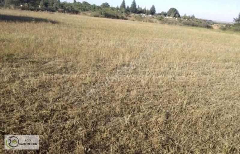 Rota 'dan Şehitler Mahallesin'de Kiralık Tarla