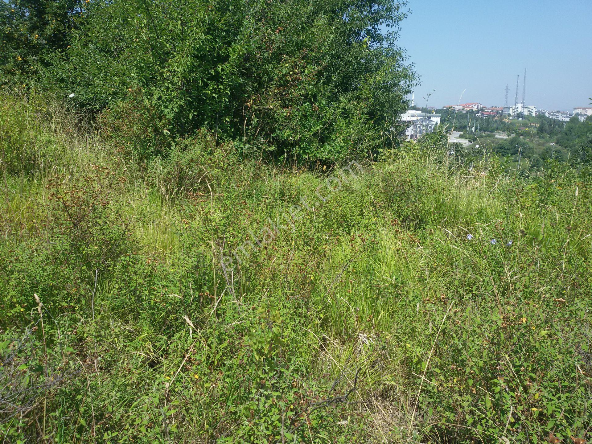 Kocaeli Gölcük Yunus Emre Mahallesi Satılık 566 M² Arsa - Görsel 14