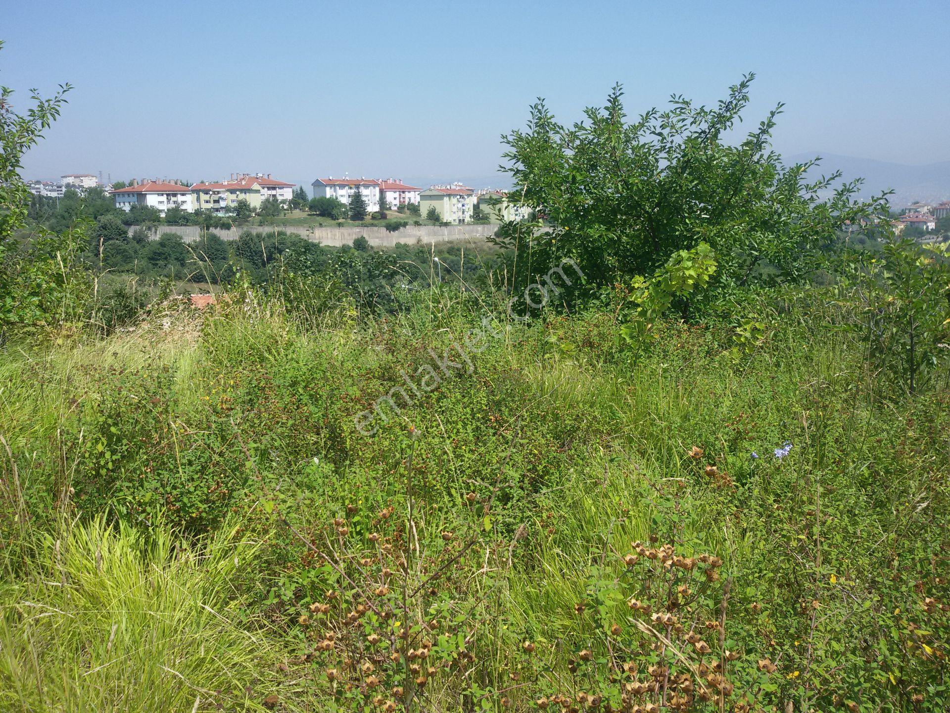 Kocaeli Gölcük Yunus Emre Mahallesi Satılık 566 M² Arsa - Görsel 13