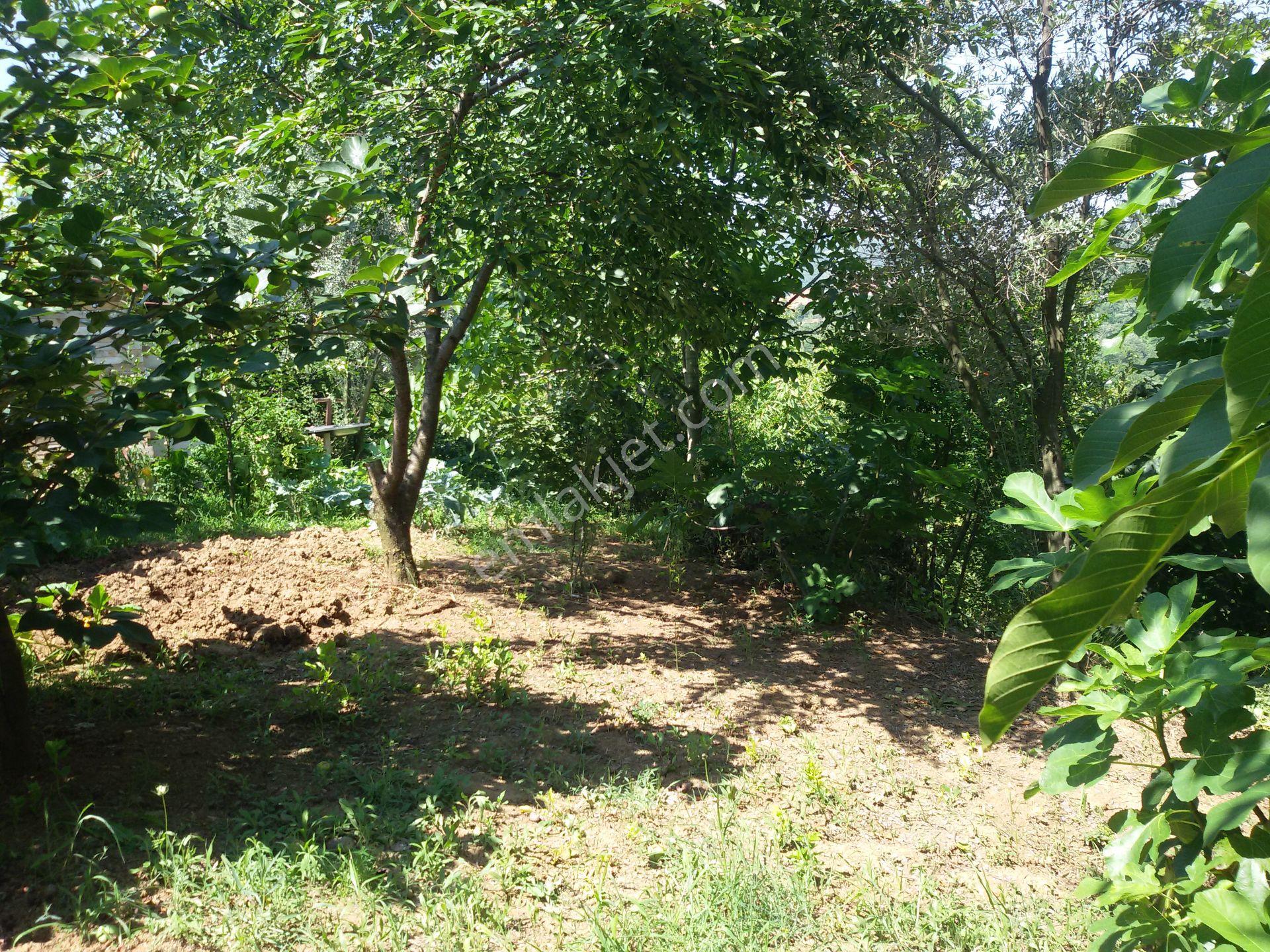 Kocaeli Gölcük Yunus Emre Mahallesi Satılık 566 M² Arsa - Görsel 23