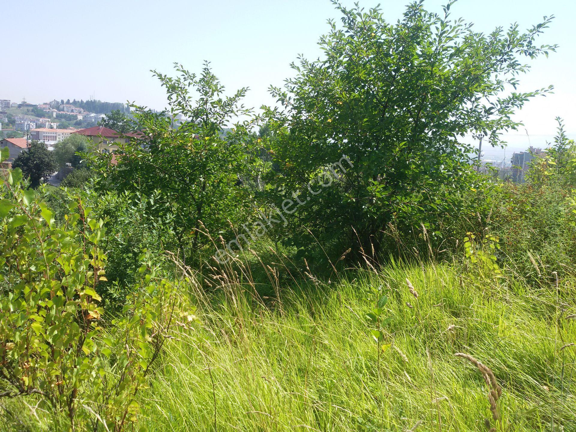 Kocaeli Gölcük Yunus Emre Mahallesi Satılık 566 M² Arsa - Görsel 17