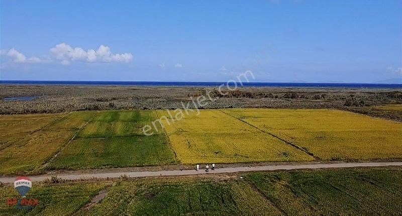 Biga Güvemalan Köyü Satılık Tarla Biga Güvemalan'da Kaçırılmayacak Yatırım Fırsatı!