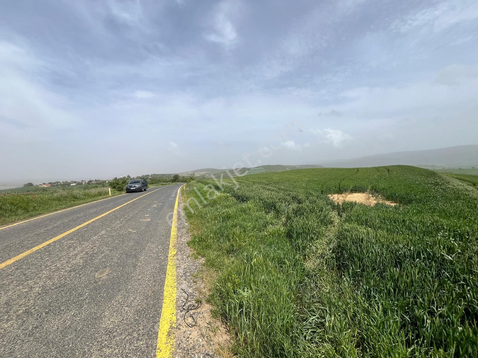 Malkara Sağlamtaş Satılık Tarla Tekirdağ Malkara Sağlamtaş Köyü Satılık Tarla