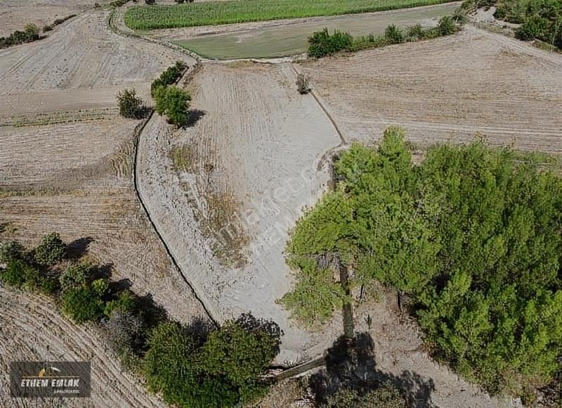 Karaisalı Gökhasanlı Satılık Tarla adana karaisalı gökhasanlı köyü satılık arsa