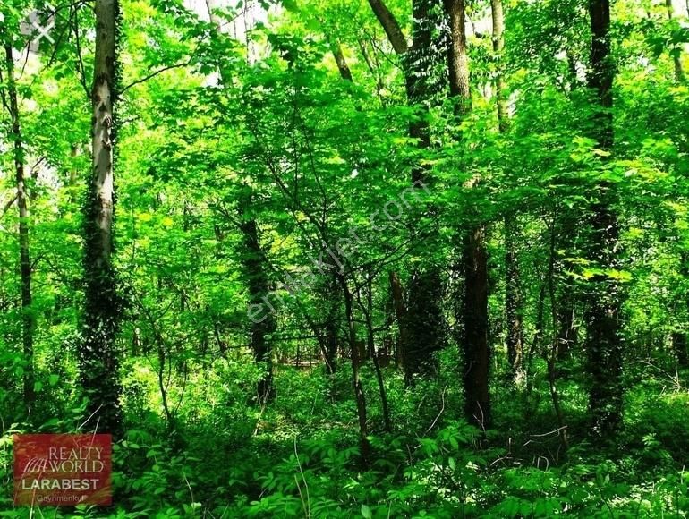 Kemer Beycik Satılık Villa İmarlı KEMER BEYCİK'TE ÖZEL İMARLI ARSA