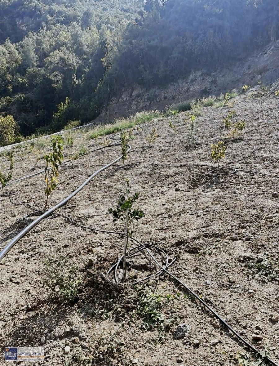 Toroslar Korucular Köyünde Satılık Ev Yapmaya Uygun Arsa - Görsel 14