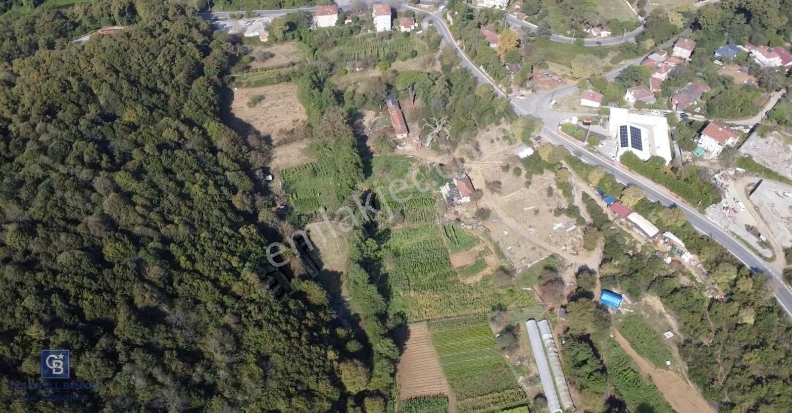 Beykoz Bozhane Satılık Konut İmarlı Beykoz'un En Sakin Köyü Bozhane'de 1.448 m2 İmarlı Emsalsiz Arsa