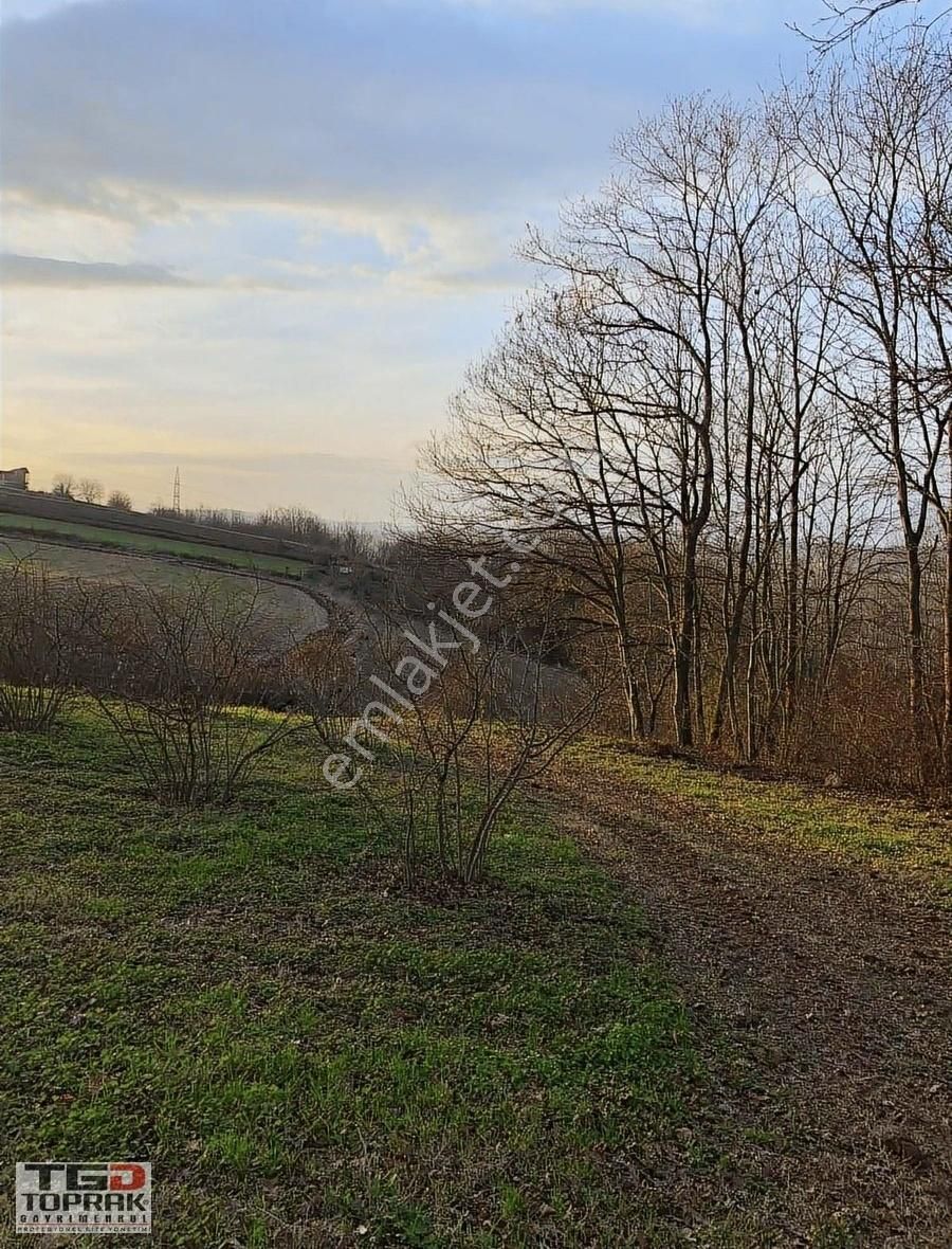 Kayrancıkta Yatırımlık Tarla Araç Takasına Uygun - Görsel 12