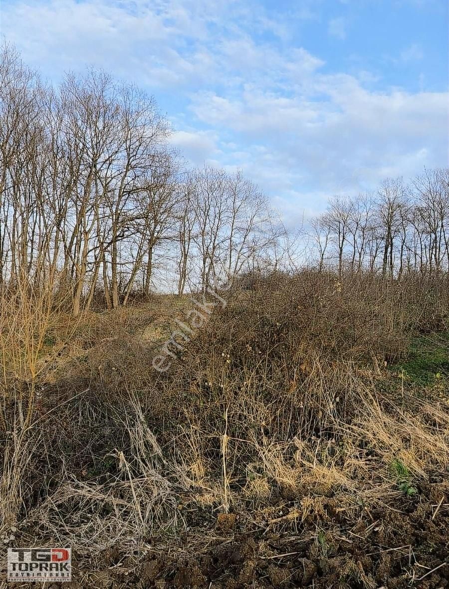 Kayrancıkta Yatırımlık Tarla Araç Takasına Uygun - Görsel 6