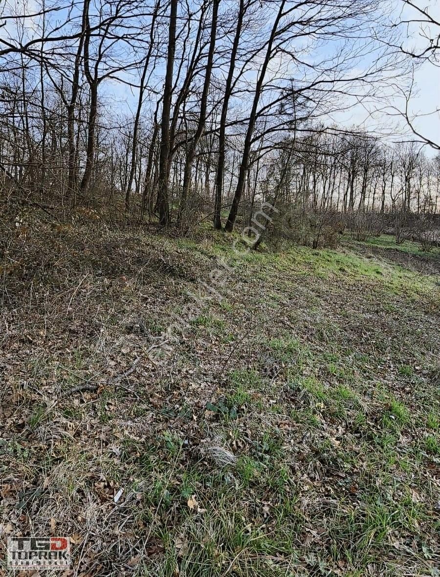 Kayrancıkta Yatırımlık Tarla Araç Takasına Uygun - Görsel 15