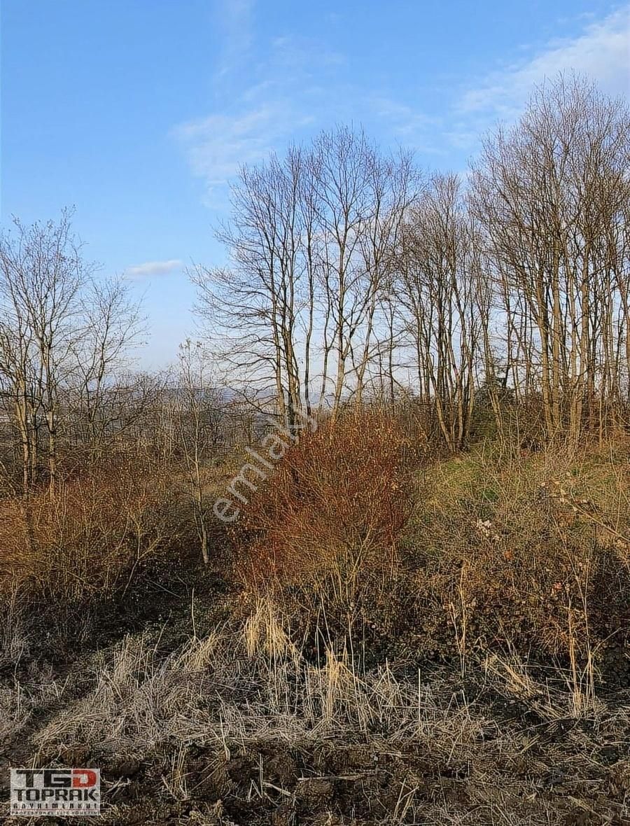 Kayrancıkta Yatırımlık Tarla Araç Takasına Uygun - Görsel 9