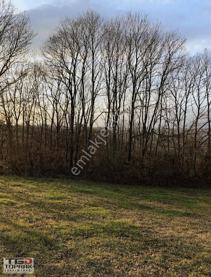 Kayrancıkta Yatırımlık Tarla Araç Takasına Uygun - Görsel 2