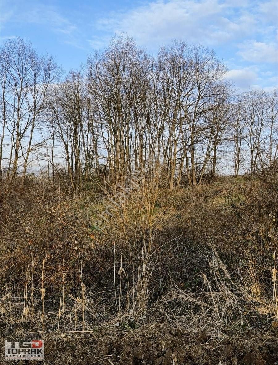 Kayrancıkta Yatırımlık Tarla Araç Takasına Uygun - Görsel 7