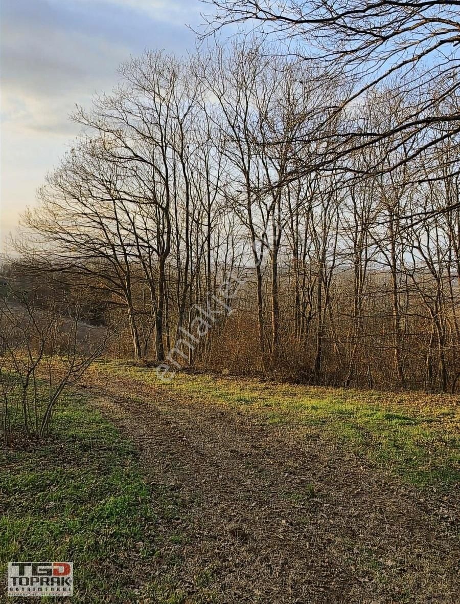 Kayrancıkta Yatırımlık Tarla Araç Takasına Uygun - Görsel 17