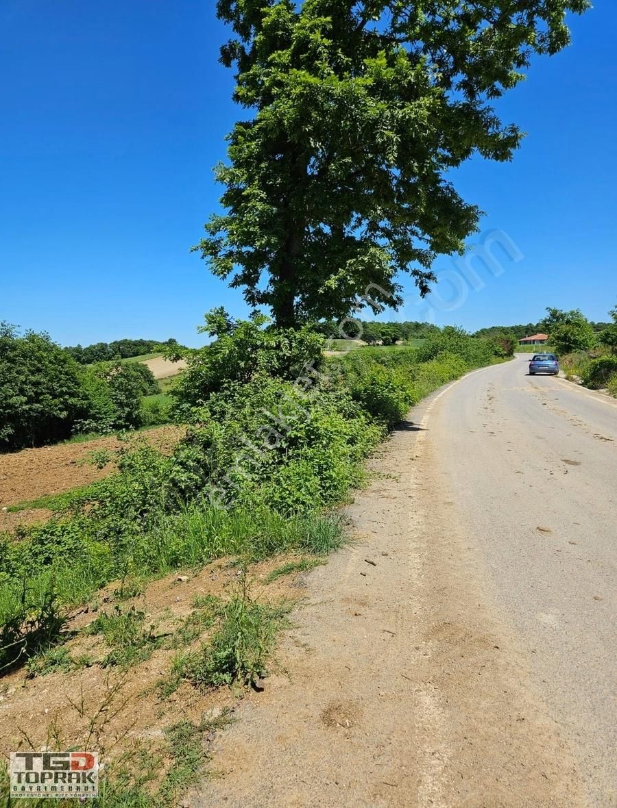 Kandıra Bozburun Asfalt Yola 107 M Cephe Satılık 2332 M2 Arsa - Görsel 3