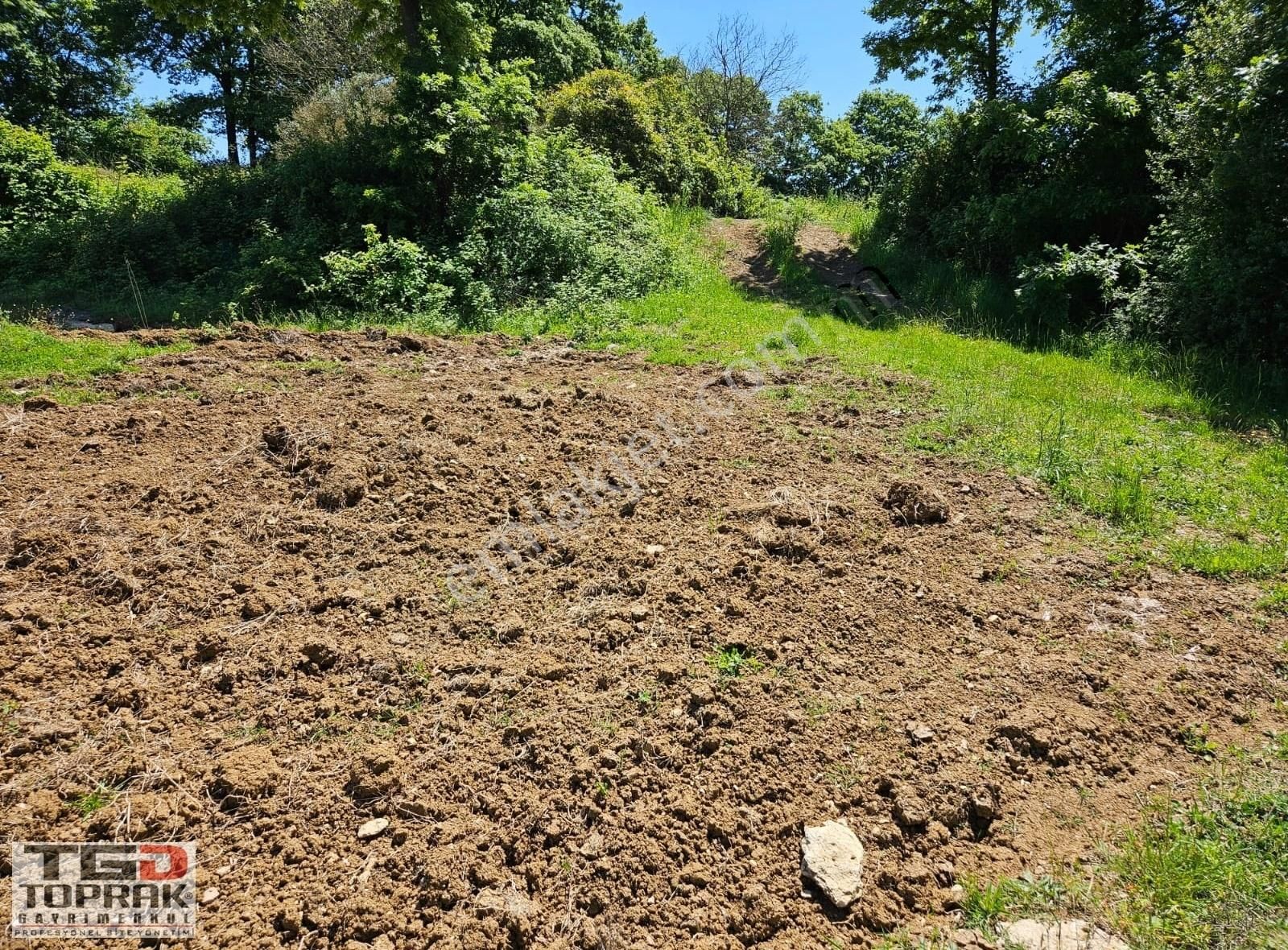 Kandıra Bozburun Asfalt Yola 107 M Cephe Satılık 2332 M2 Arsa - Görsel 2