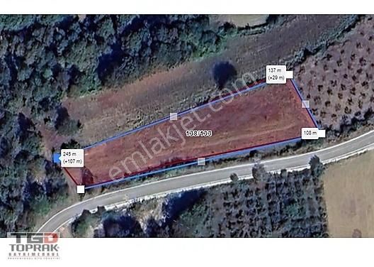 Kandıra Bozburun Asfalt Yola 107 M Cephe Satılık 2332 M2 Arsa - Görsel 4