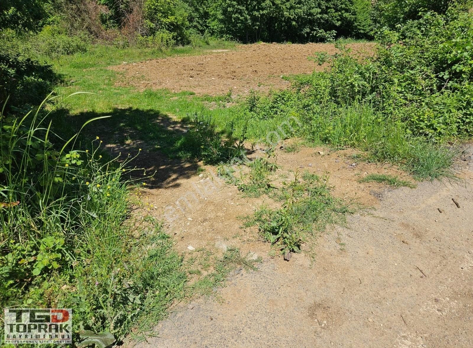 Kandıra Bozburun Asfalt Yola 107 M Cephe Satılık 2332 M2 Arsa