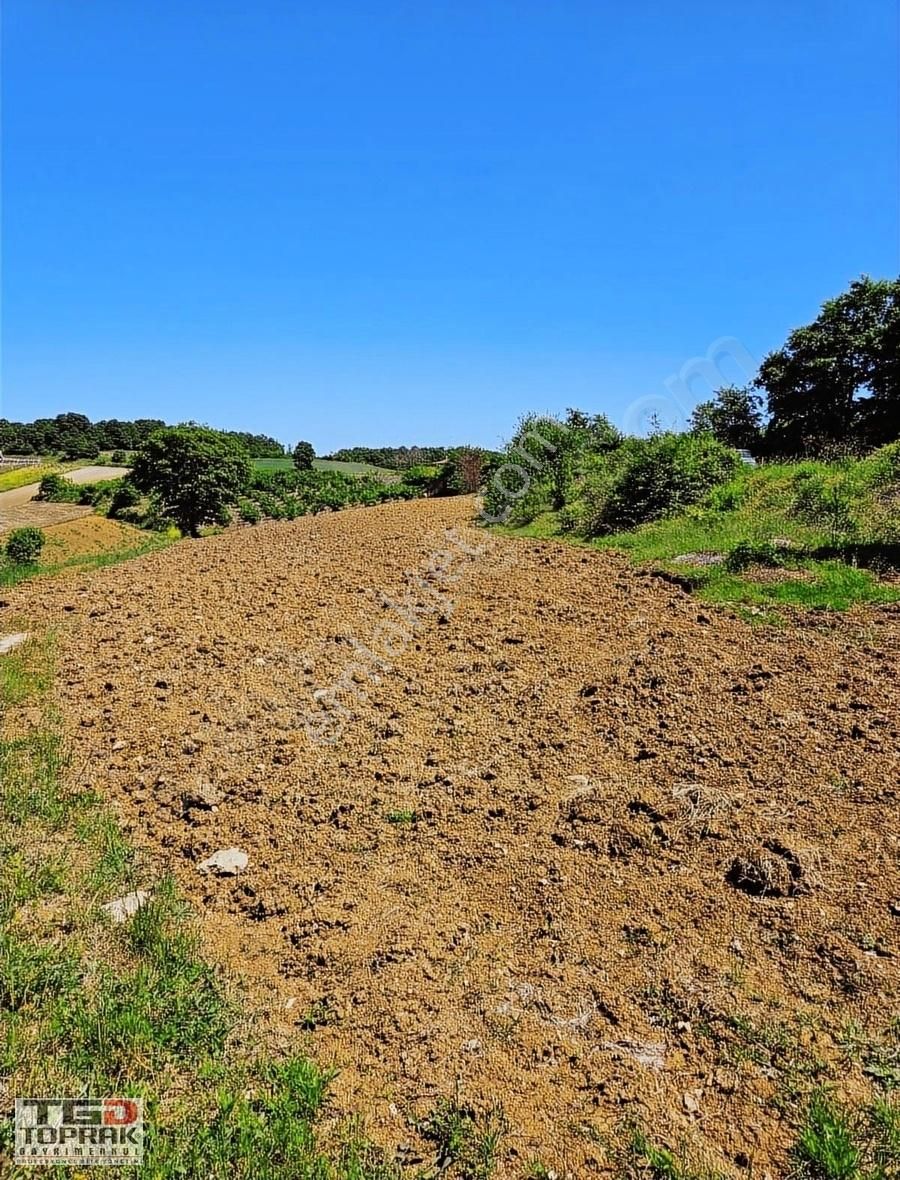 Kandıra Bozburun Asfalt Yola 107 M Cephe Satılık 2332 M2 Arsa - Görsel 8