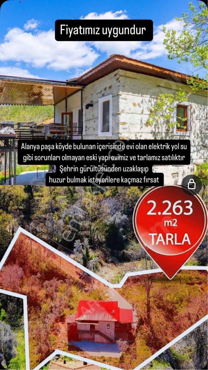 Alanya Paşaköy Satılık Tarla Alanya paşa köy mah satılıkarsa içerinde 2 katlı ev