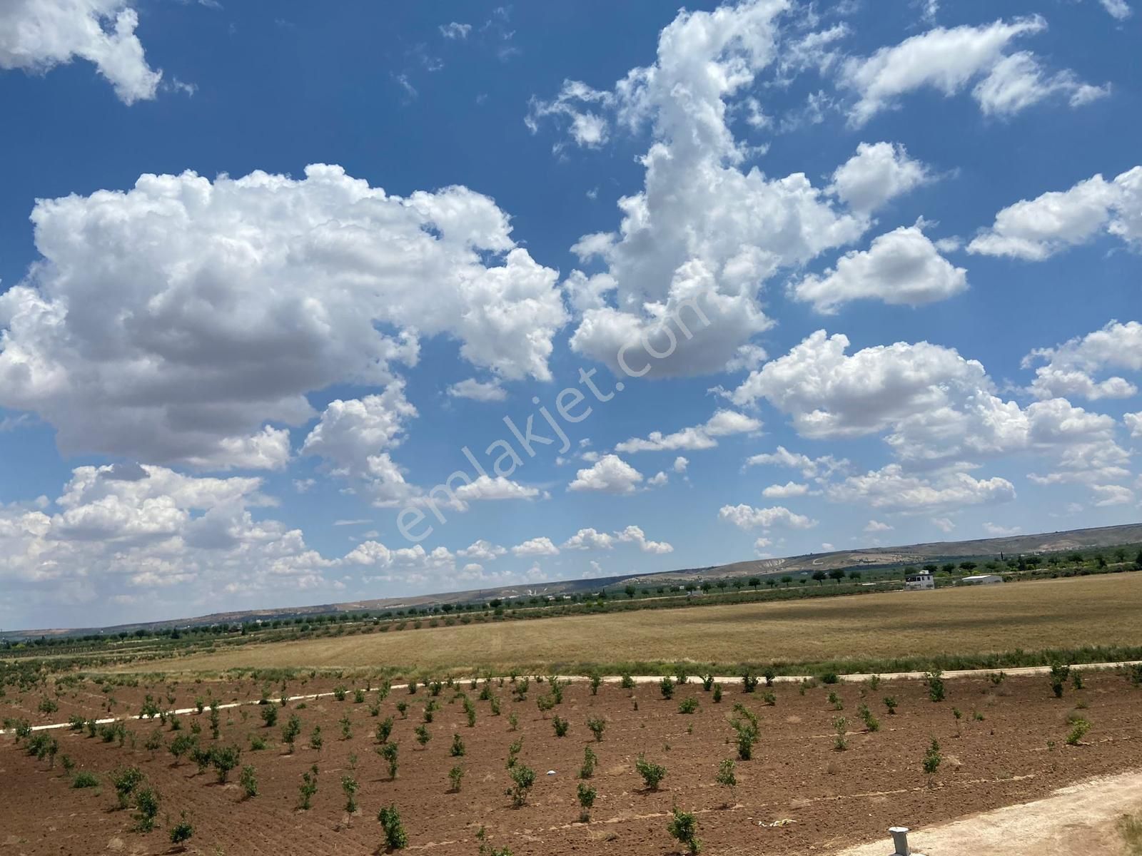 Karaköprü Pınarbaşı Satılık Bağ & Bahçe Karaköprü Pınarbaşı Satılık 1 Dönüm Parsel 119 /10 Pınarbaşıno