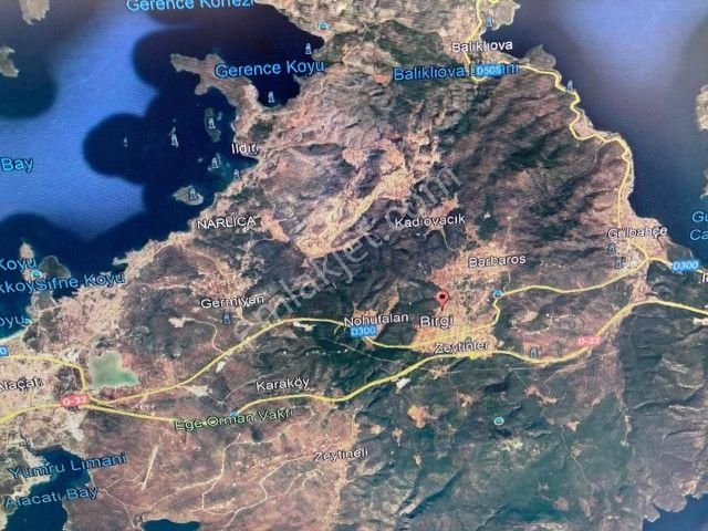 Urla Birgi Satılık Tarla Urla Birgi Mahallesinde 4662 M2 Satılık Tarla