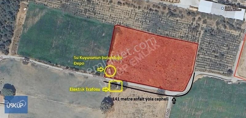 Kemalpaşa Akalan Satılık Bağ & Bahçe Kemalpaşa Akalan'da 141 Metre Asfalt Yola Cepheli 8.031 M2 Satılık Arazi