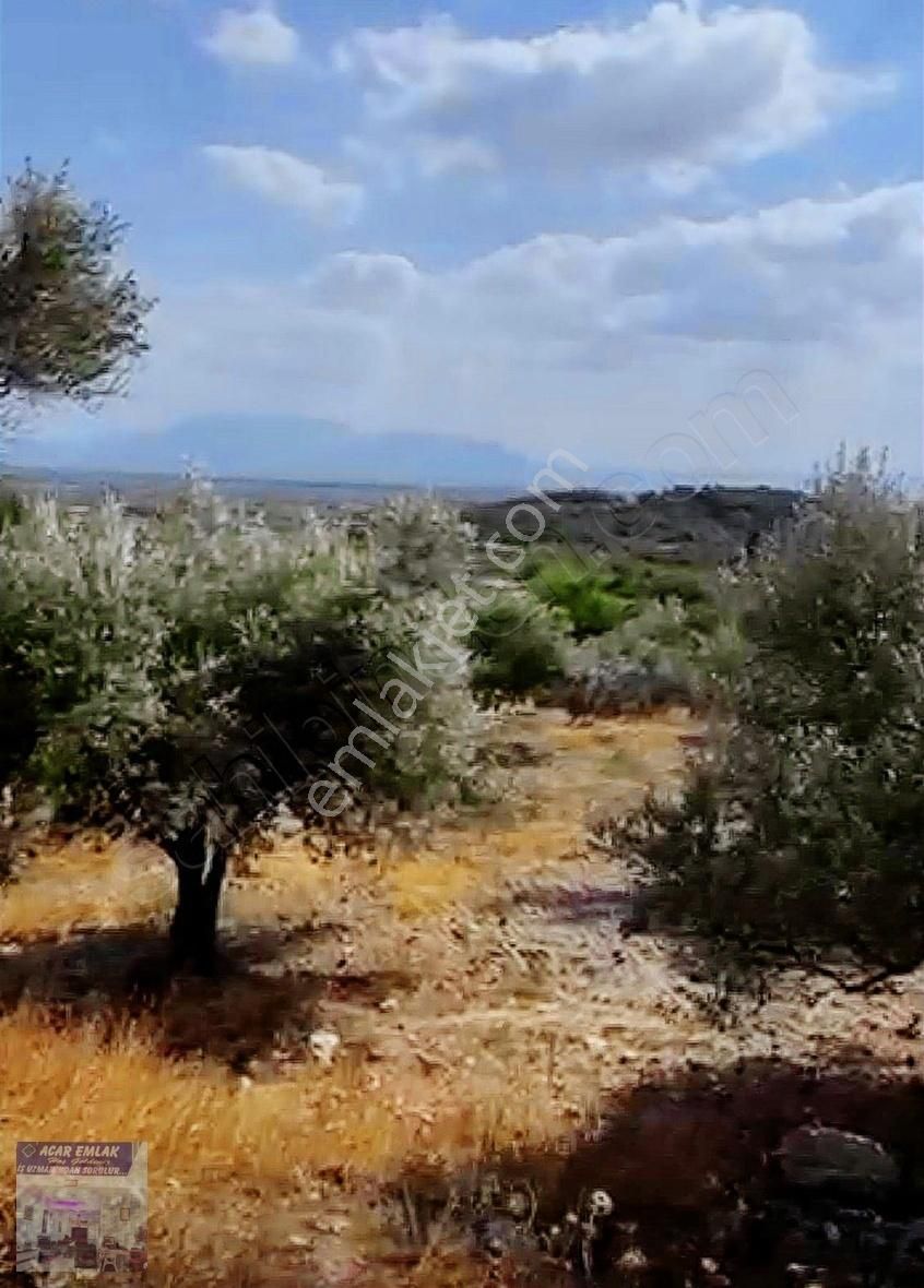 Saruhanlı Sarıçam Satılık Konut İmarlı ACAR EMLAKTAN SARUHAN SARIÇAM DA VİLLA ARSASI