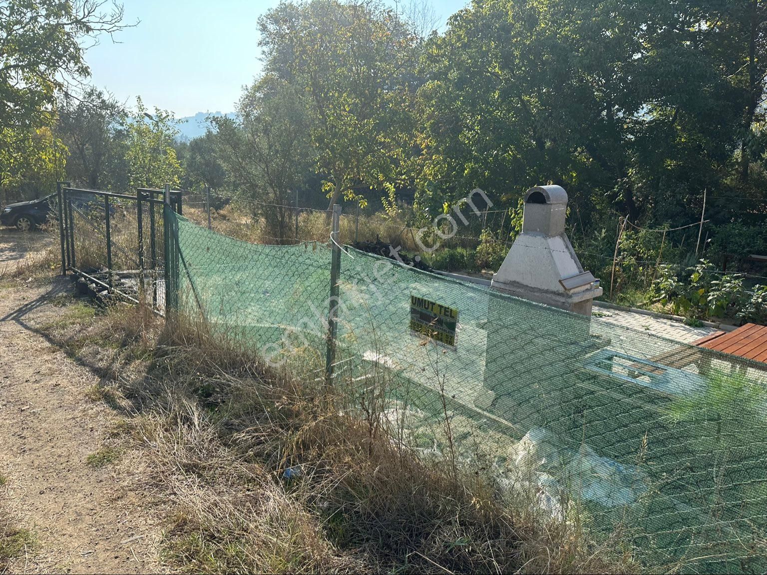 Tırpan Gayrimenkulden Işıklı Köyünde 703m2 Yola Cephe Satılık Köye Yakın Zeytinlik - Görsel 4