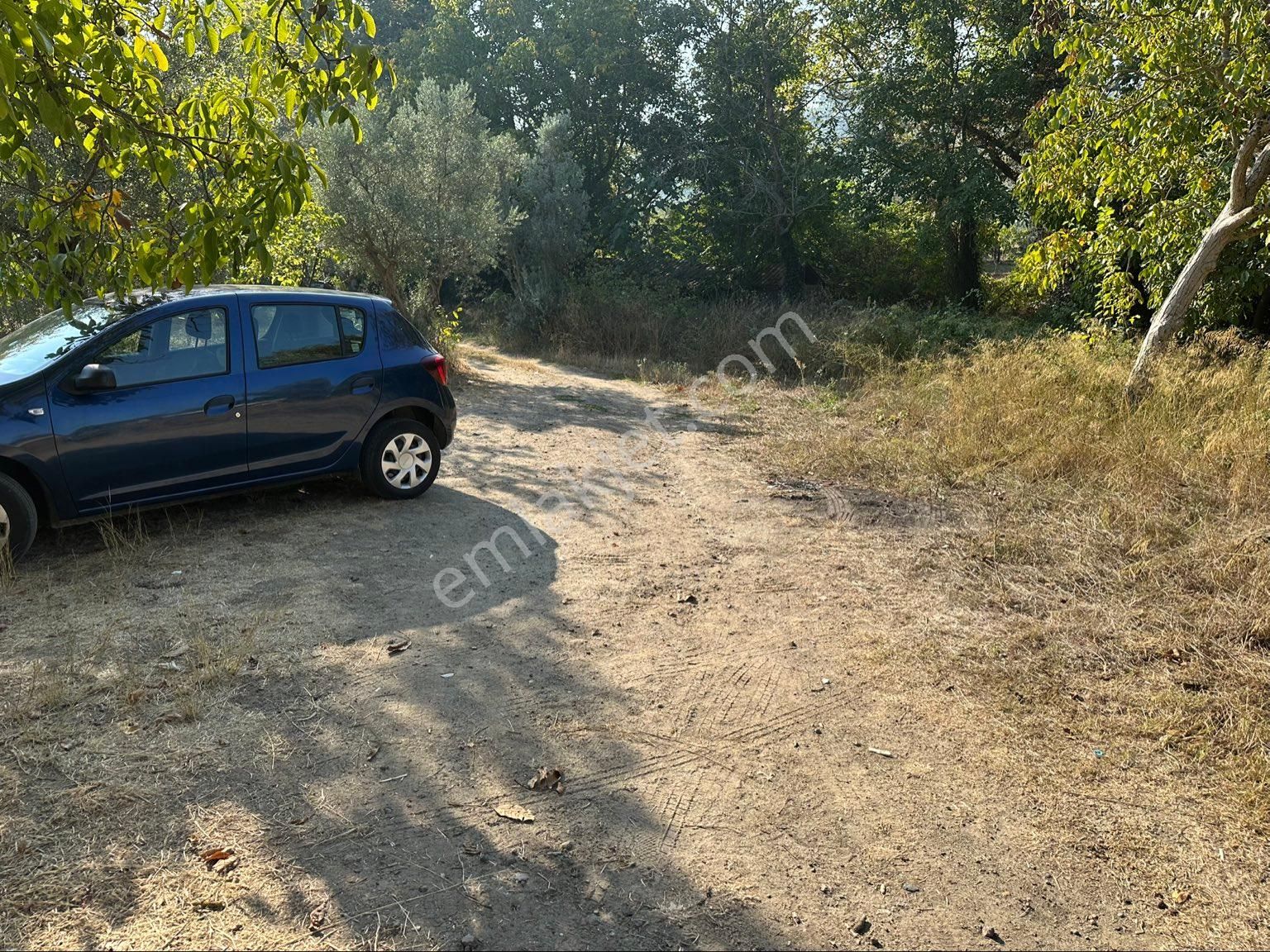 Tırpan Gayrimenkulden Işıklı Köyünde 703m2 Yola Cephe Satılık Köye Yakın Zeytinlik - Görsel 2