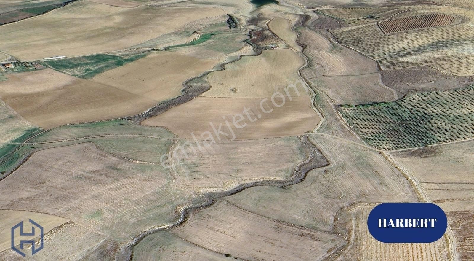 Elazığ Merkez Aydıncık Köyü Satılık Tarla HARBERT GAYRİMENKUL AYDINCIK KÖYÜNDE SATILIK TARLA