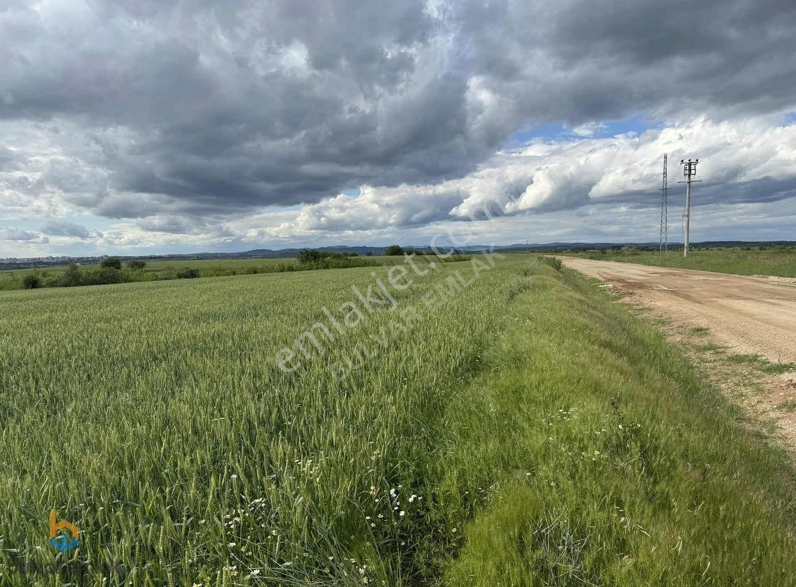 Kırklareli Merkez Pınar Satılık Tarla Kırklareli Merkez Karacaibrahim Mah. 5492m2 Yatırımlık Tarla